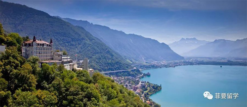 1662627508734031.jpeg 04.jpg