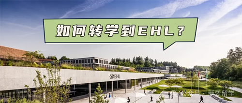 菲要网站01-500.png